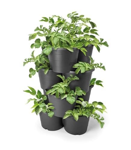 Aldi verkauft nchste Woche einen Turm fr 4,99 Euro, der jeden Garten  aufwertet